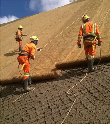 Biomanta Antierosiva