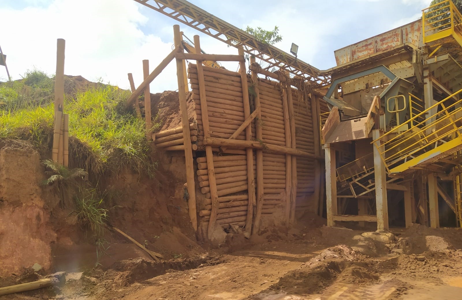 Bioengenharia para Mineração